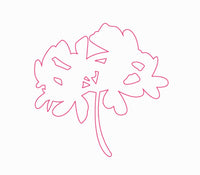  rose geranium