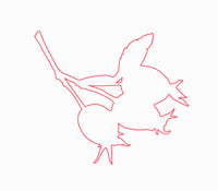 rosehip  rosehip
