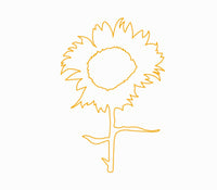 sunflower  sunflower