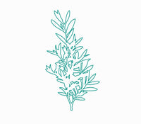 tea tree  tea tree